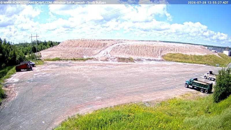 Windsor Salt