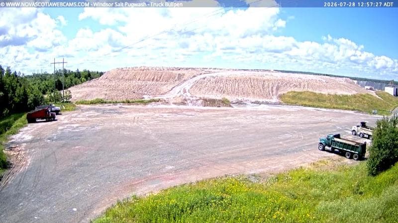 Windsor Salt