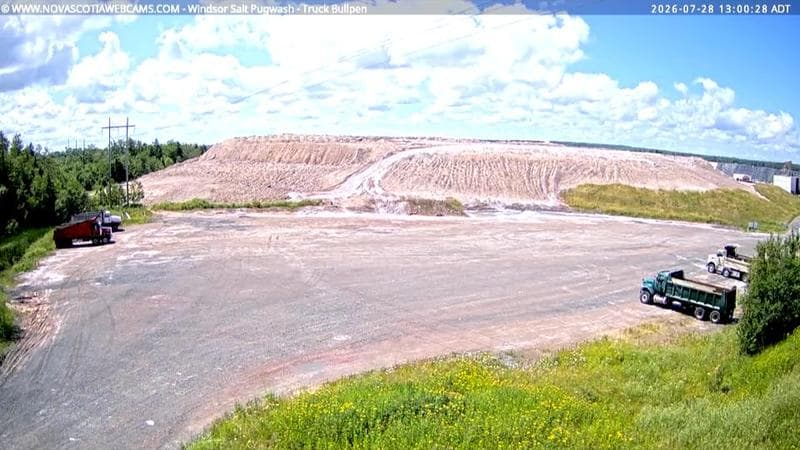 Windsor Salt