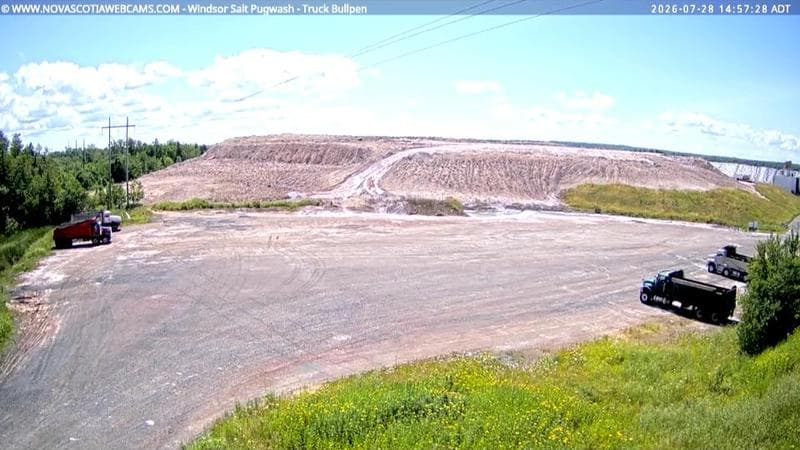 Windsor Salt