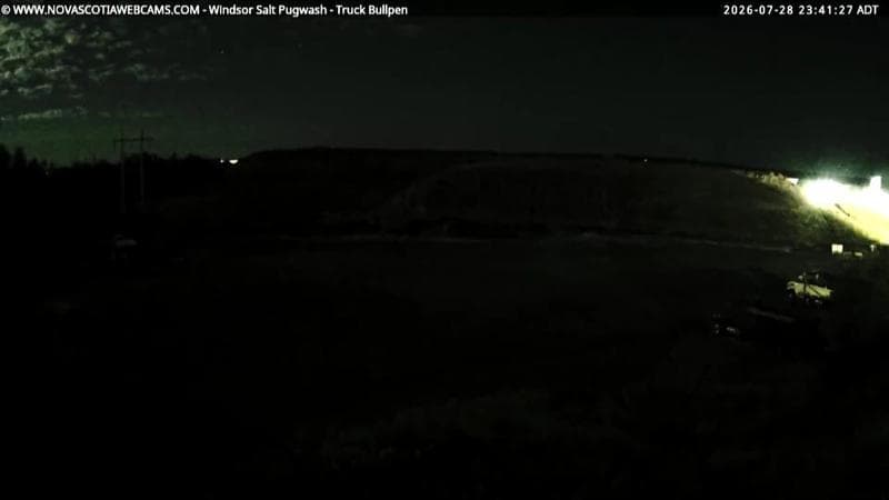 Windsor Salt