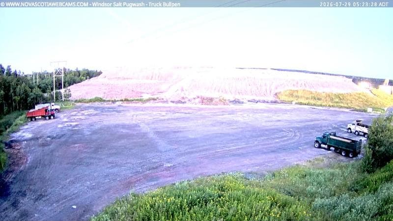 Windsor Salt