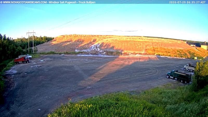 Windsor Salt