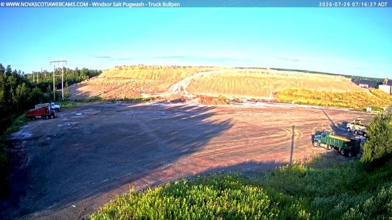 Windsor Salt