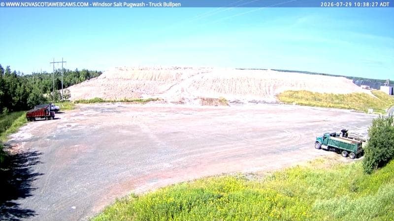 Windsor Salt