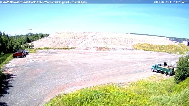 Windsor Salt