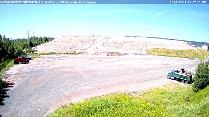 Windsor Salt