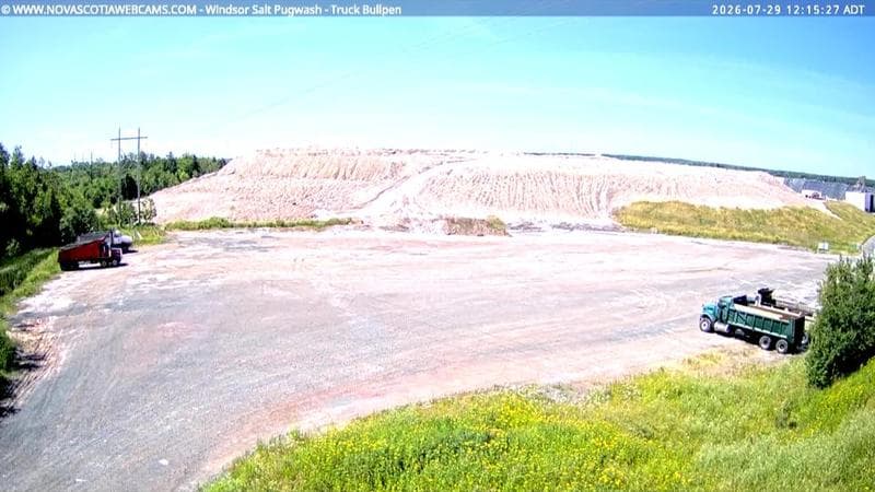 Windsor Salt