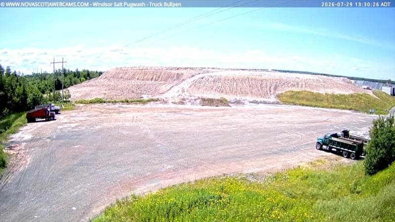 Windsor Salt