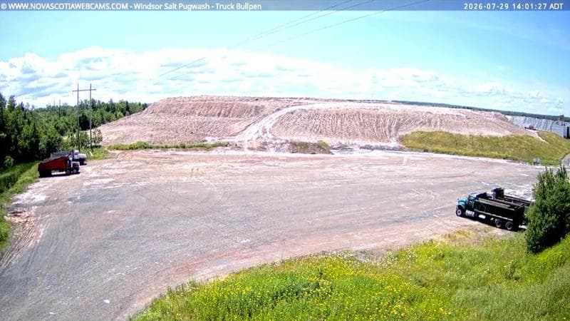 Windsor Salt