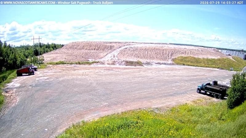 Windsor Salt