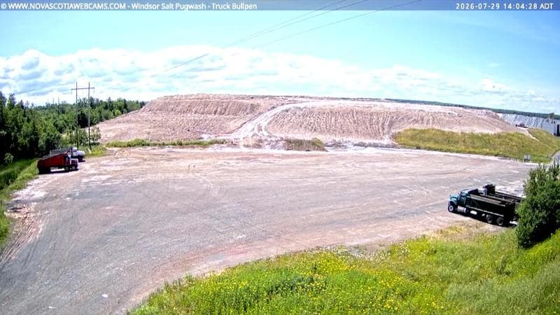 Windsor Salt