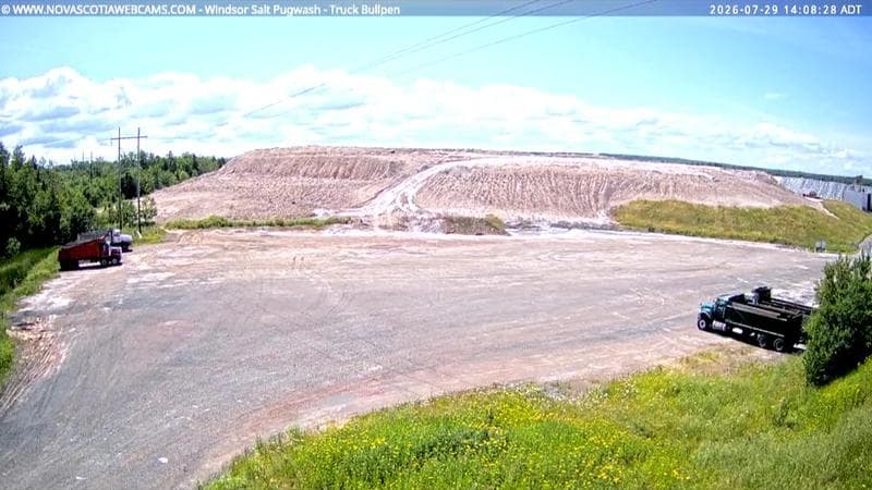 Windsor Salt
