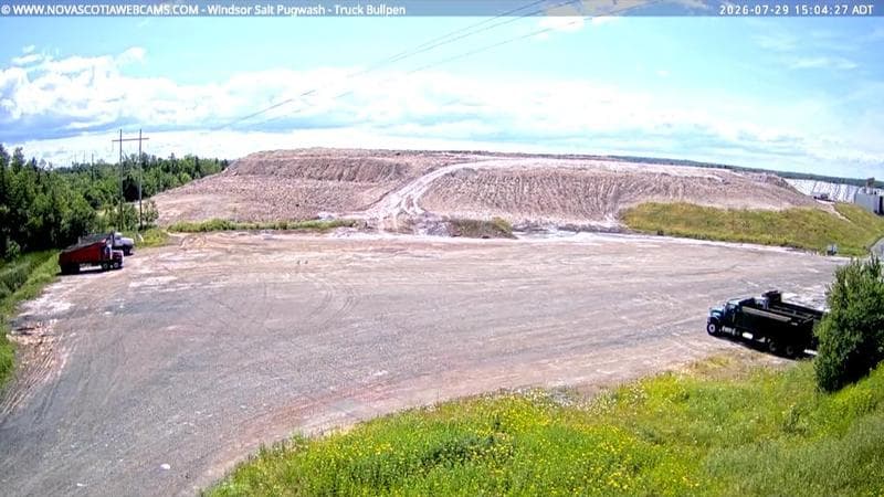 Windsor Salt