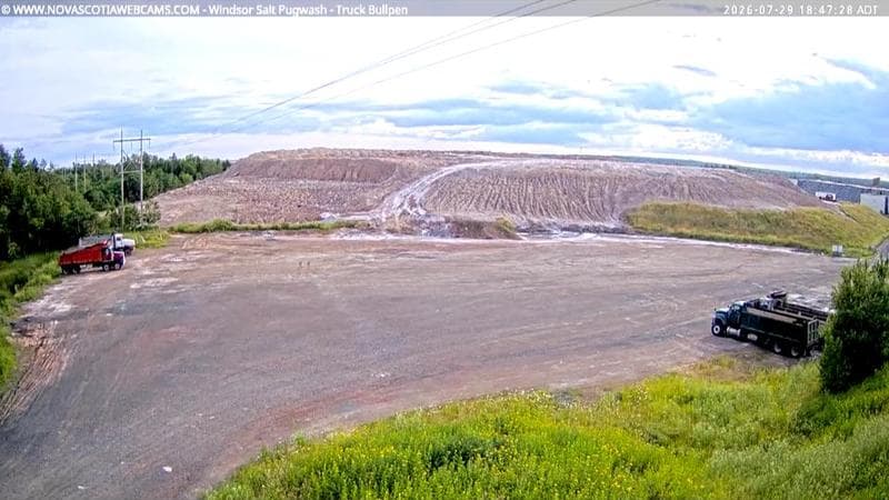 Windsor Salt