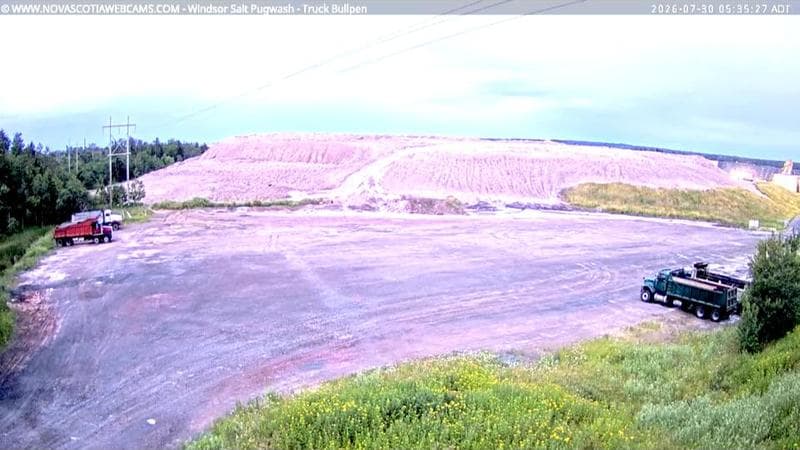 Windsor Salt