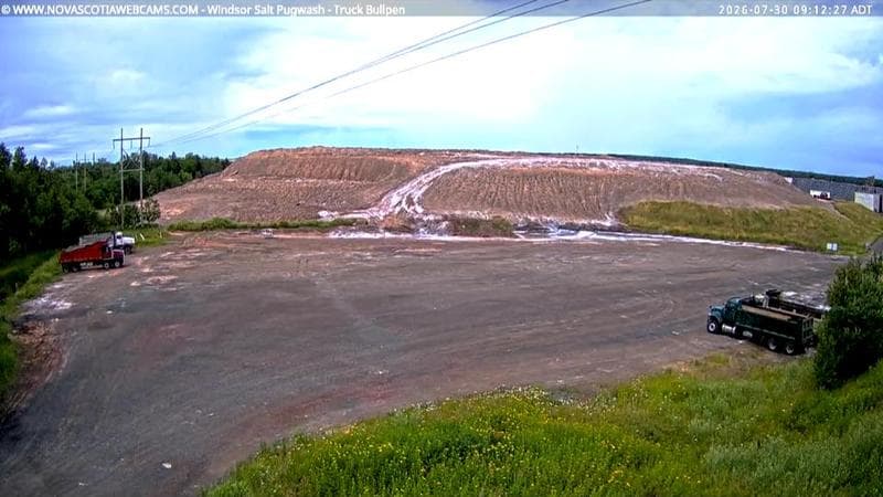 Windsor Salt