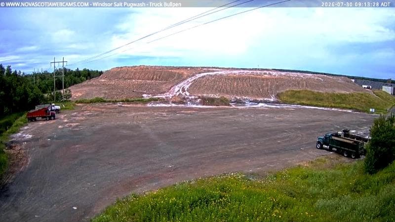 Windsor Salt