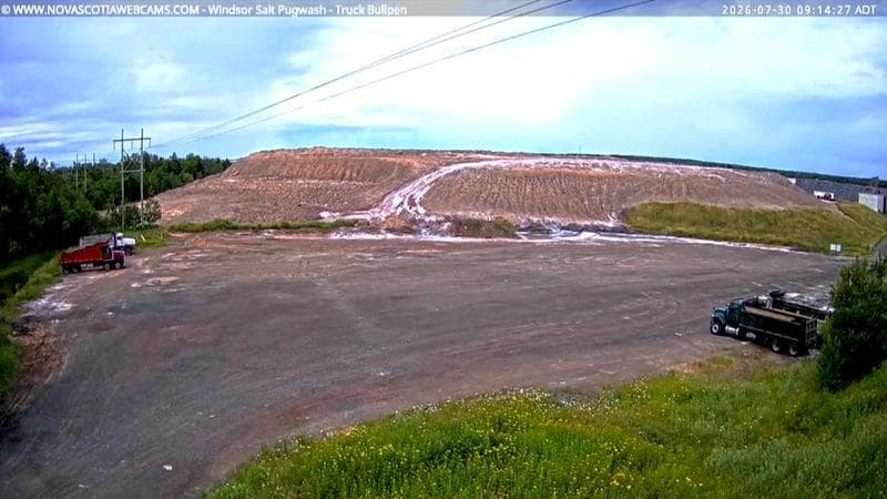 Windsor Salt