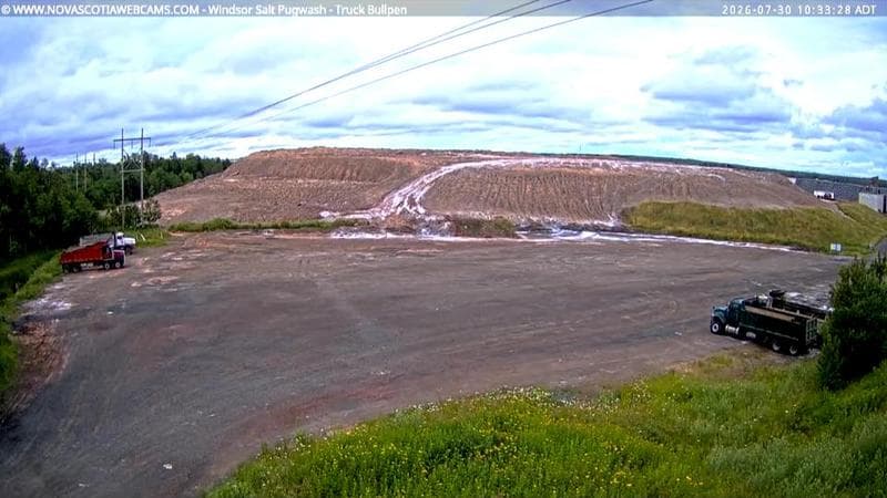 Windsor Salt