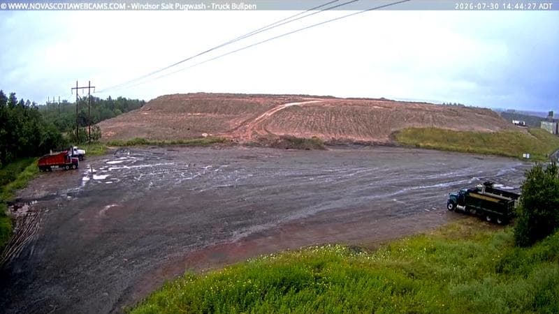 Windsor Salt