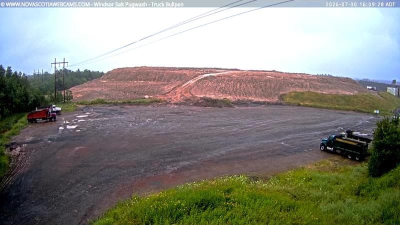 Windsor Salt