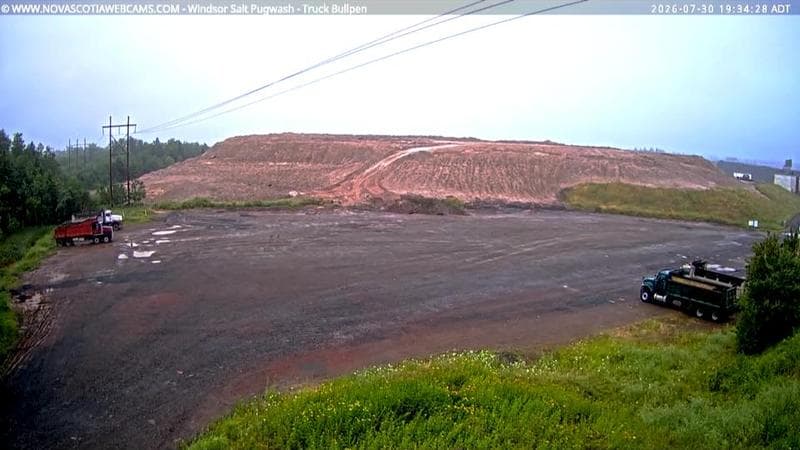 Windsor Salt