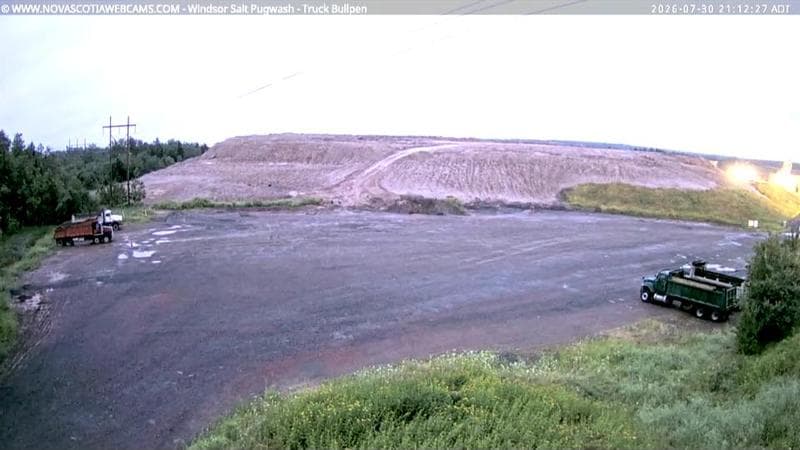Windsor Salt