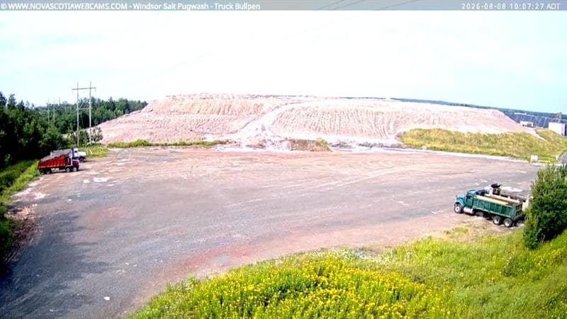 Windsor Salt