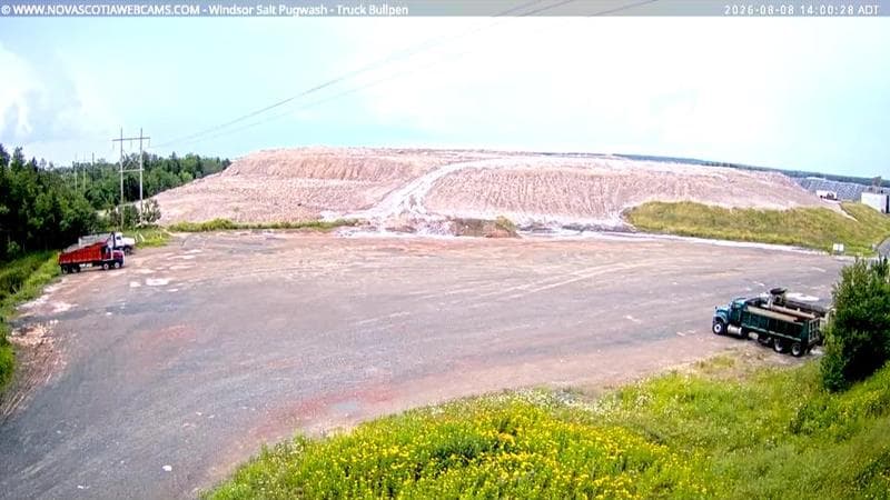Windsor Salt