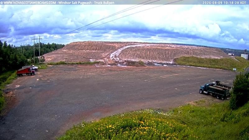 Windsor Salt