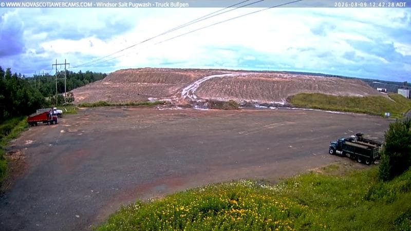 Windsor Salt