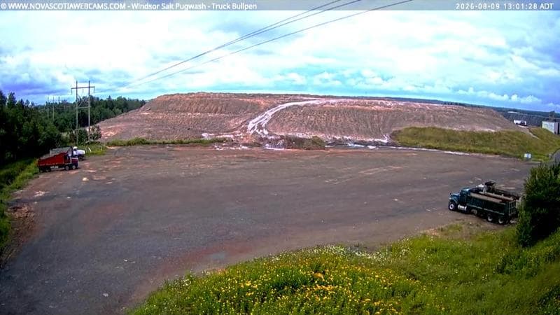 Windsor Salt