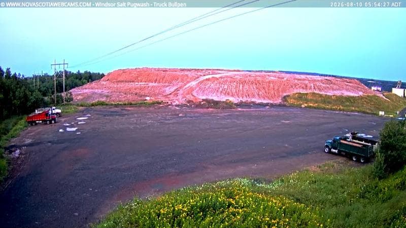 Windsor Salt