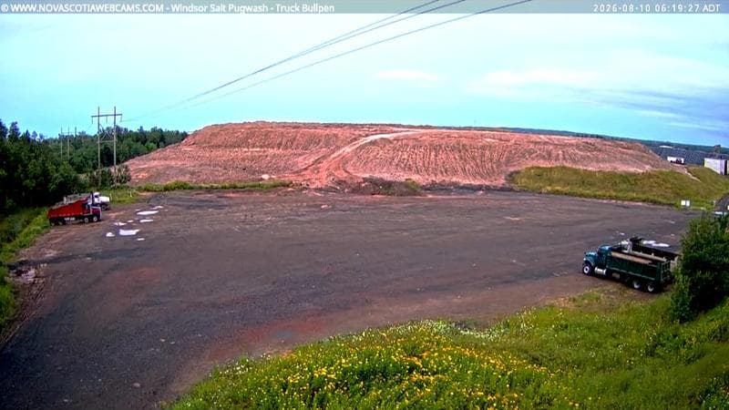 Windsor Salt