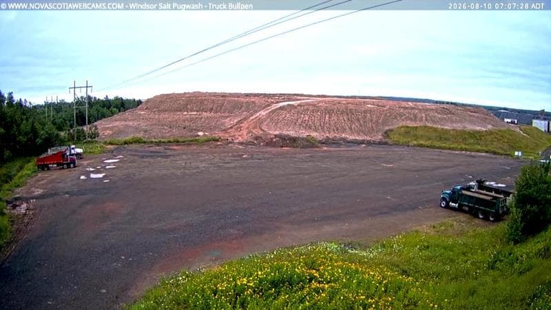 Windsor Salt