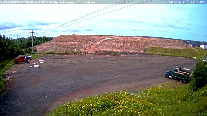 Windsor Salt