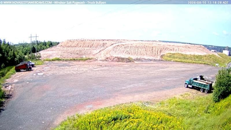 Windsor Salt