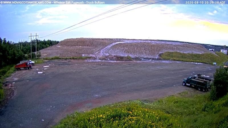 Windsor Salt