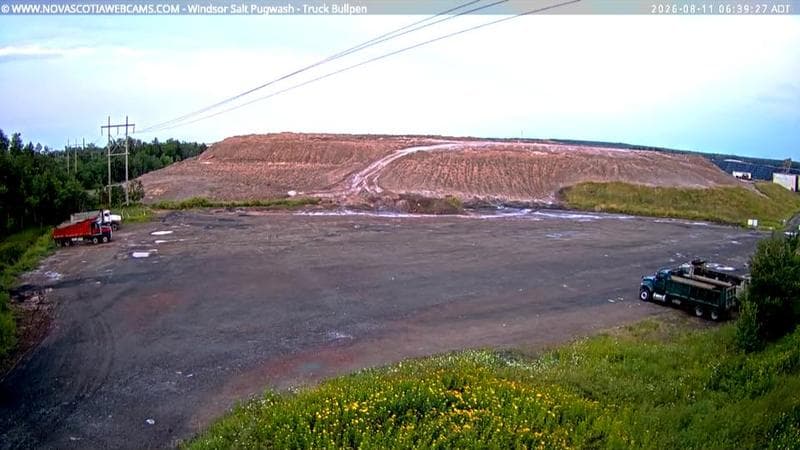 Windsor Salt