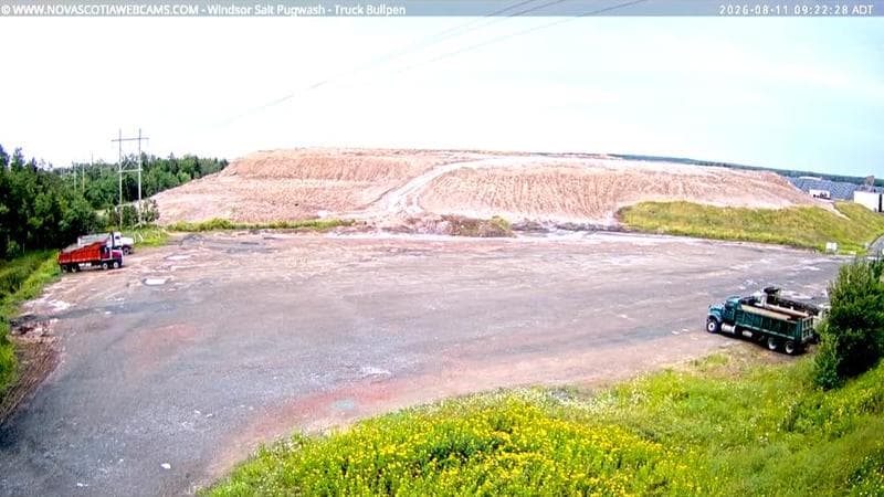 Windsor Salt