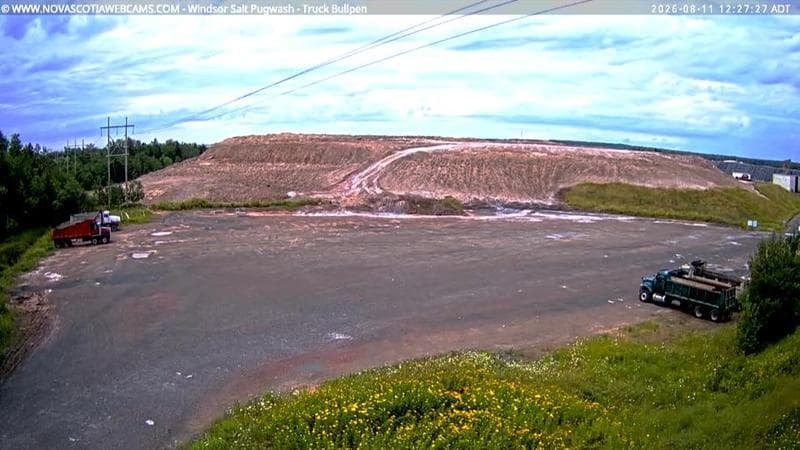 Windsor Salt