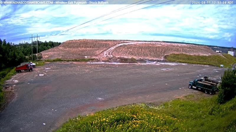 Windsor Salt