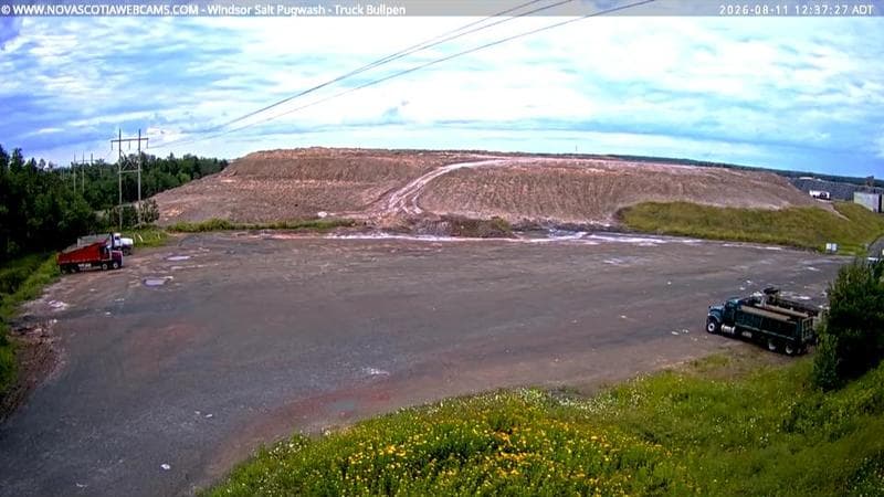 Windsor Salt