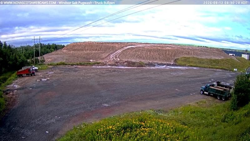 Windsor Salt