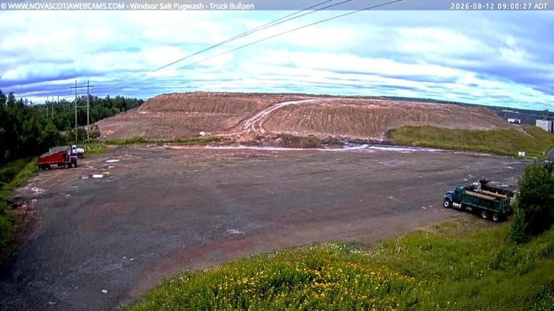 Windsor Salt