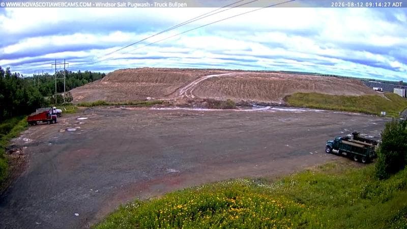 Windsor Salt