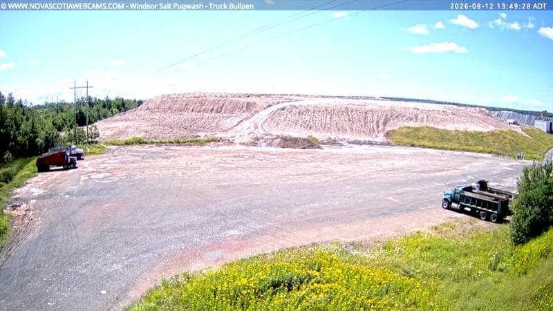 Windsor Salt