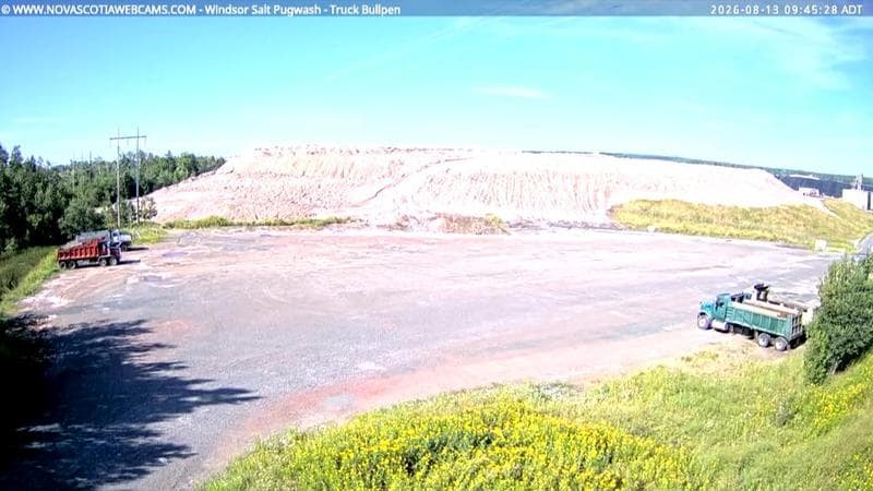 Windsor Salt