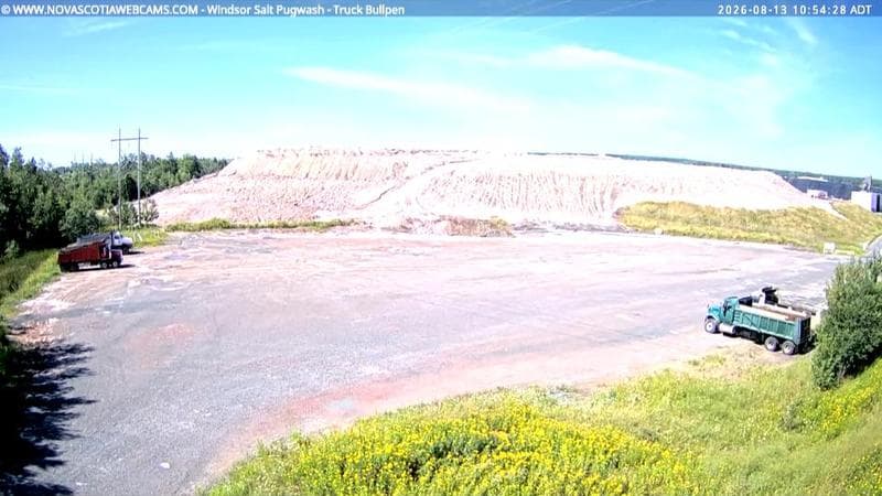 Windsor Salt